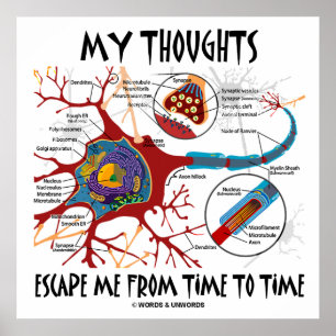 Poster My Thoughts Escape Me Time To Time Neuron Synapse