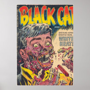 Poster Mystère de chat noir 050