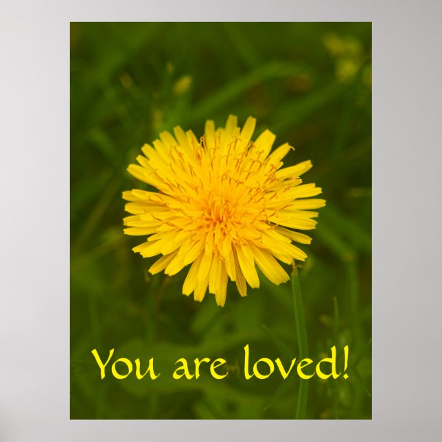 Poster Mystère de Dandelion. Vous êtes aimés ! (Devant)