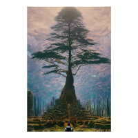 Mystères de la forêt profonde