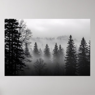 Poster Mystères de la Mist