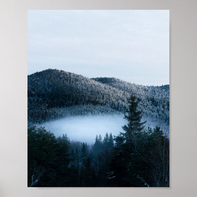 Poster Mystérieux brouillard piégé dans la forêt d'épinet (Devant)