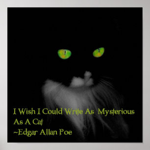 Poster Mystérieux chat