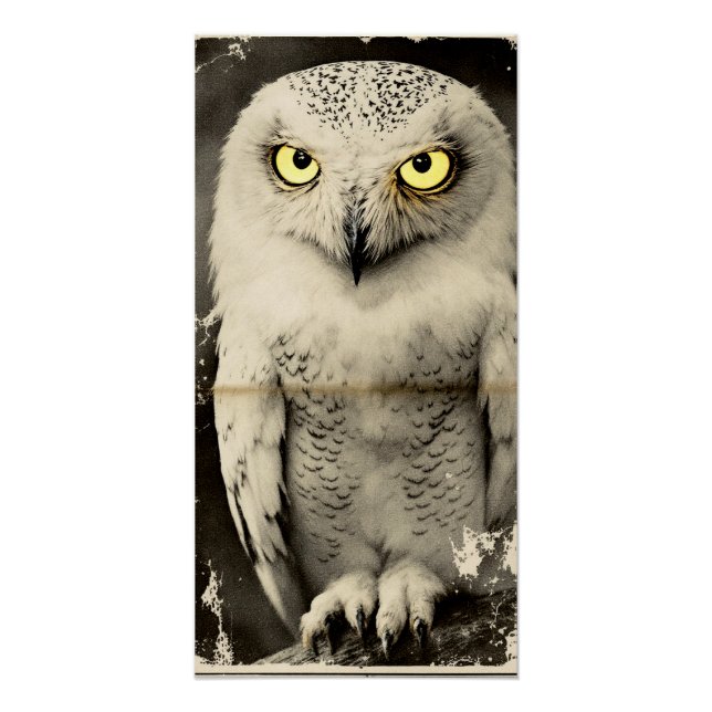 Poster Mysterious Owl Newspaper Print - Folklore Vintage (Devant)