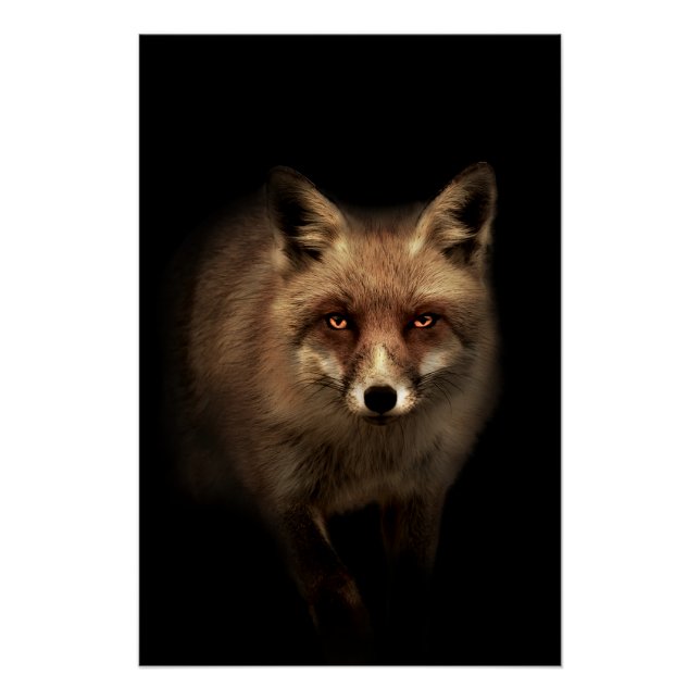 Poster Mystic Fox (Devant)