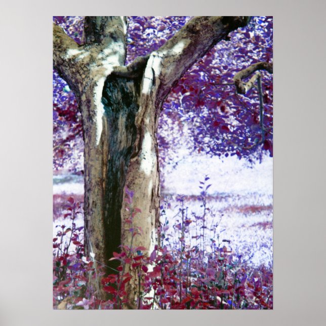 Poster Mystical tree (Devant)