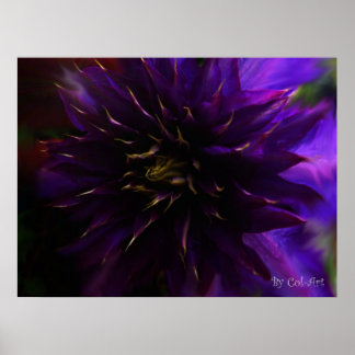 Poster Mystifier l'affiche 16 po x 12 po