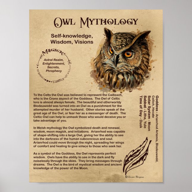 POSTER MYTHOLOGIE OWL (Devant)