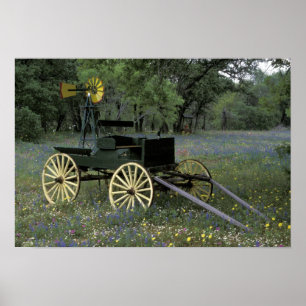 Poster N.A., Etats-Unis, le Texas, Devine, vieux chariot