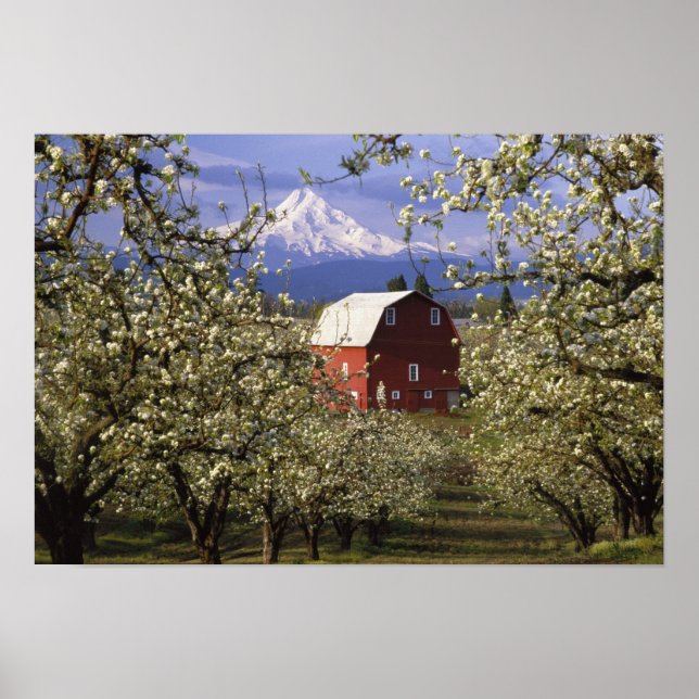 Poster N.A., États-Unis, Oregon, comté de Hood River. Red (Devant)