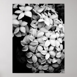 POSTER N&B