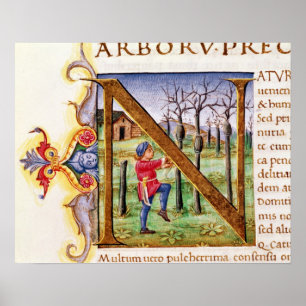 Poster 'N' initial historique