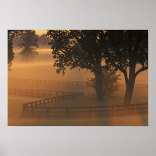 Poster NA, États-Unis, Kentucky. Lever de soleil brumeux