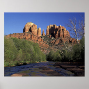 Poster NA, USA, Arizona, Sedona. Rocher et chêne de la ca