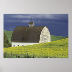 Poster NA, USA, Idaho, south of Genesse, Canola field