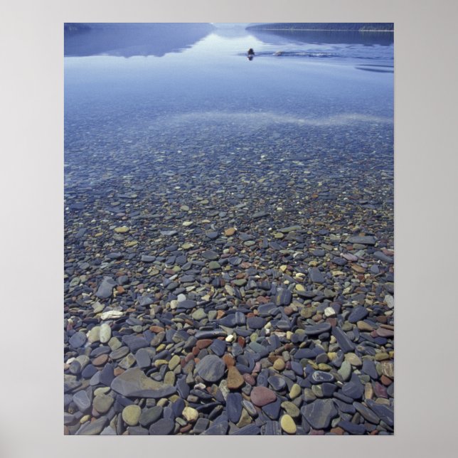 Poster NA, USA, Montana, Glacier NP Rocks dans le lac (Devant)