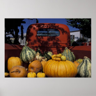 Poster NA, USA, Nouveau Mexique, Taos. Le Chili se tient 