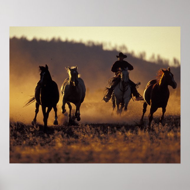 Poster NA, USA, Oregon, Seneca, Ponderosa Ranch, Cowboy 2 (Devant)