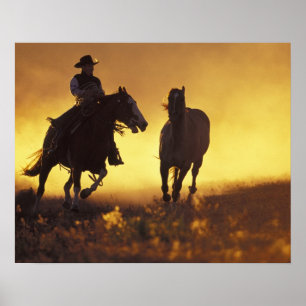 Poster NA, USA, Oregon, Seneca, Ponderosa Ranch, Cowboy 3