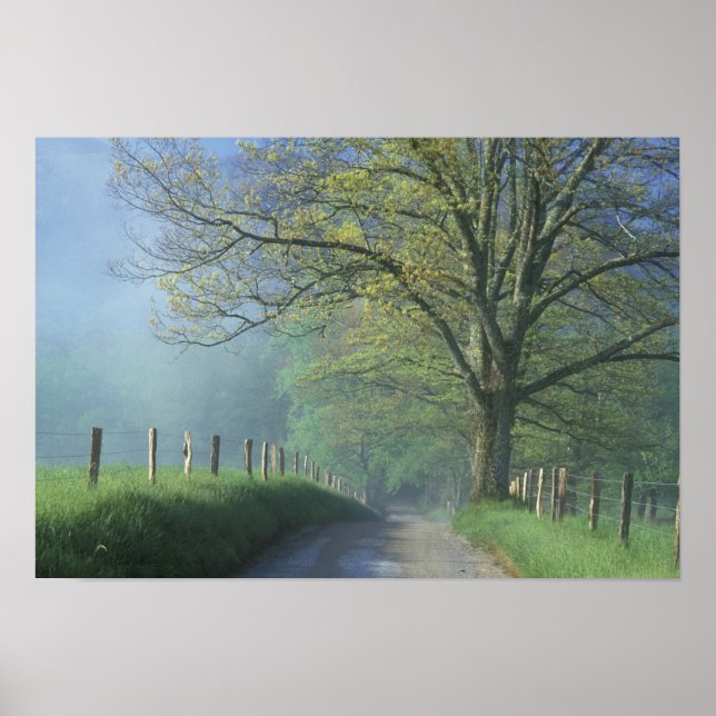 Poster NA, USA, Tennessee, Cades Cove, Great Smoky (Devant)