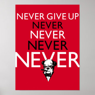 Poster N'Abandonne Jamais !