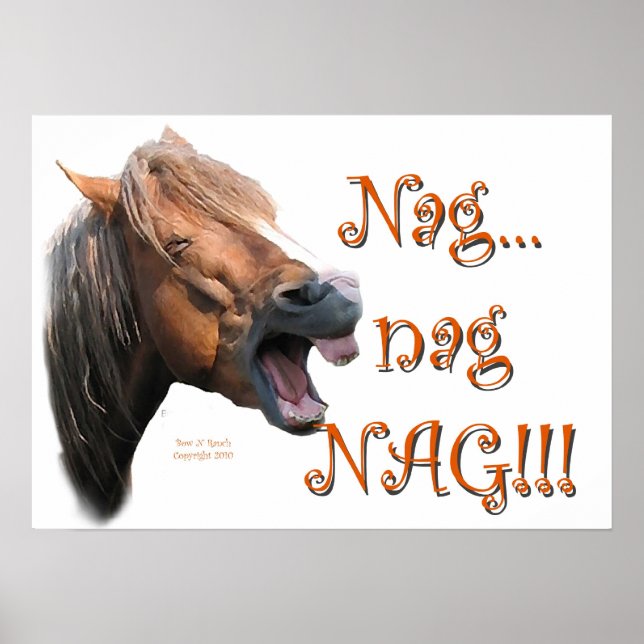 Poster Nag 1 (Devant)