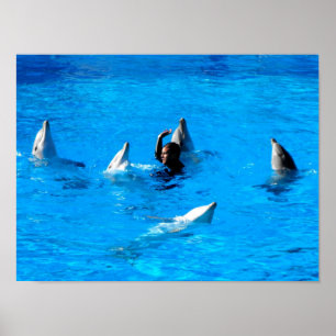 Poster Nage avec cinq dauphins en Espagne