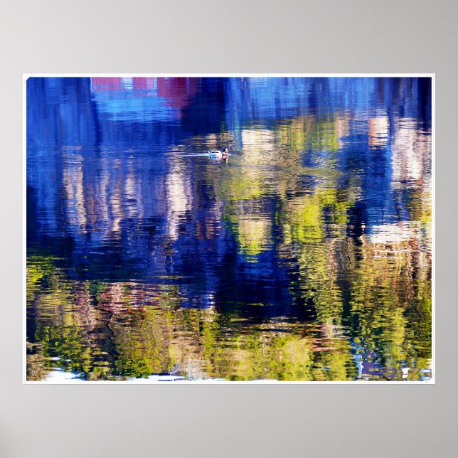 Poster nage de couleur (Devant)