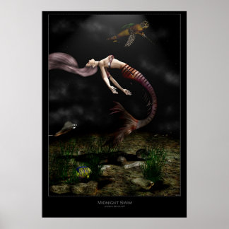 Poster Nage de minuit