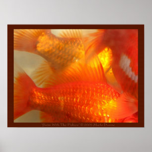 Poster Nager Avec Les Fishies