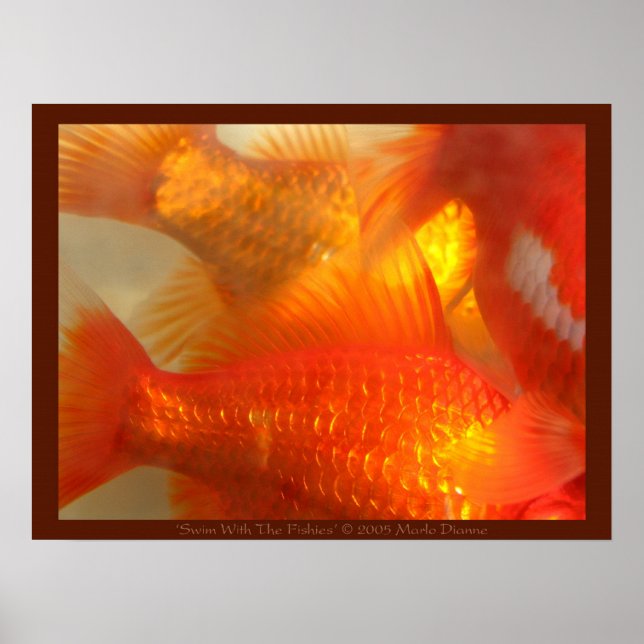 Poster Nager Avec Les Fishies (Devant)