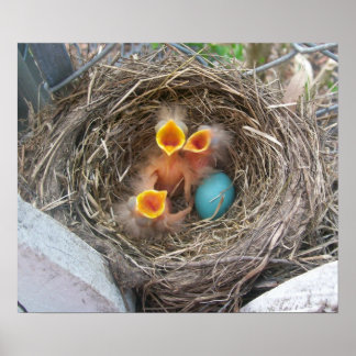 Poster Naissance du printemps