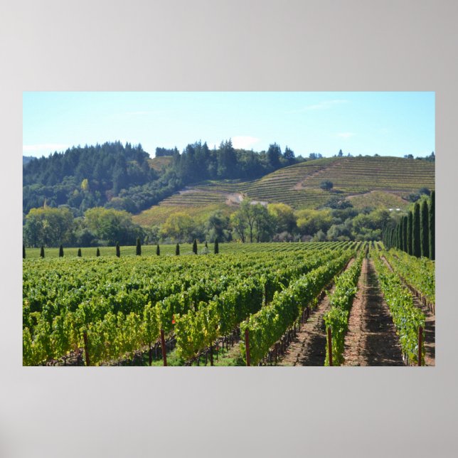 Poster Napa Sonoma Valley Vin Pays (Devant)