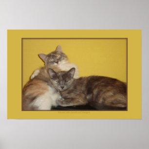 Poster Nappers