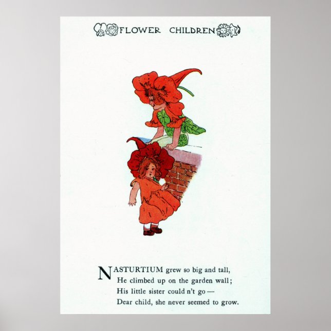 Poster Nasturtium (Devant)
