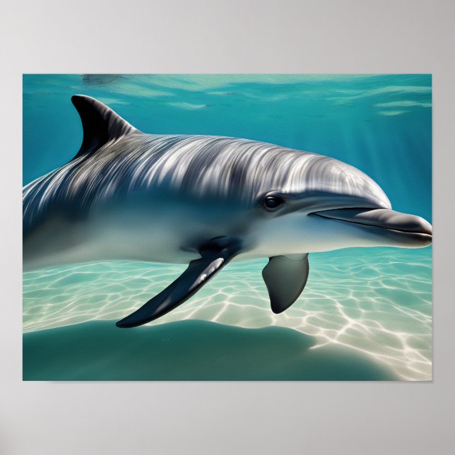 Poster Natation des dauphins sous-marins (Devant)