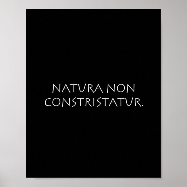 Poster Natura non constristatur (Devant)