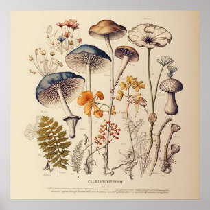 Poster Naturaliste de champignons vintages