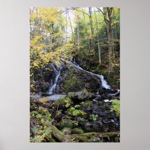 Poster Nature