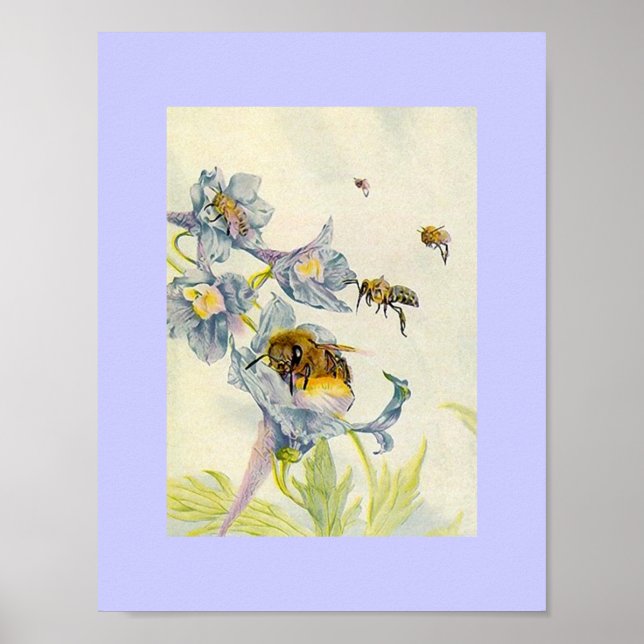 Poster Nature Abeilles de miel et le matin Fleurs de gloi (Devant)