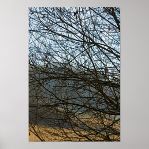 Poster Nature Abstraite