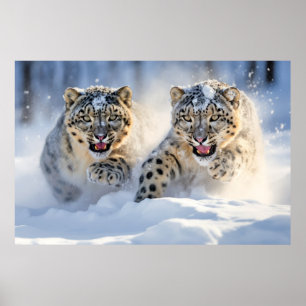 Poster Nature animale léopard des neiges Sauvage majestue