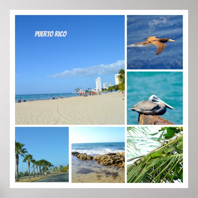 Poster Nature collage of San Juan, Porto Rico (Devant)