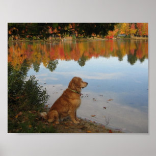 Poster Nature d'or d'automne avec le chien de golden