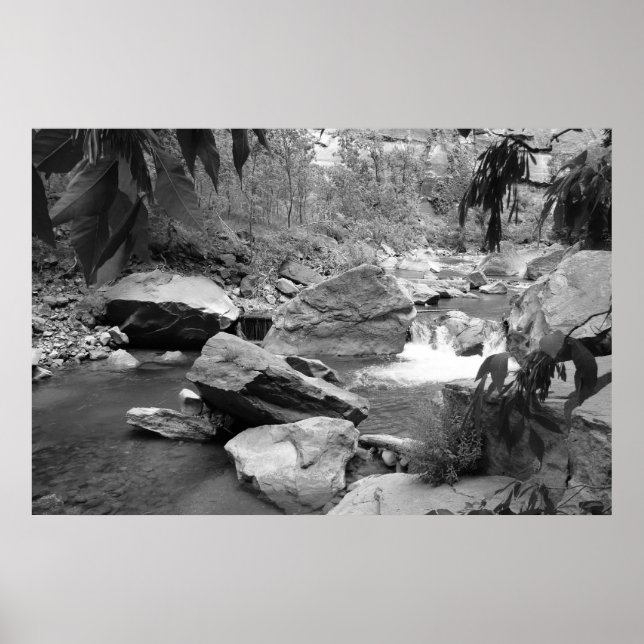 Poster Nature en noir et blanc (Devant)