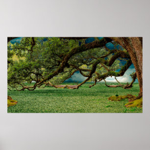 Poster Nature feuillage de feuillage