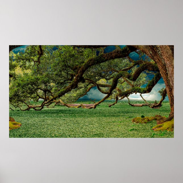 Poster Nature feuillage de feuillage (Devant)