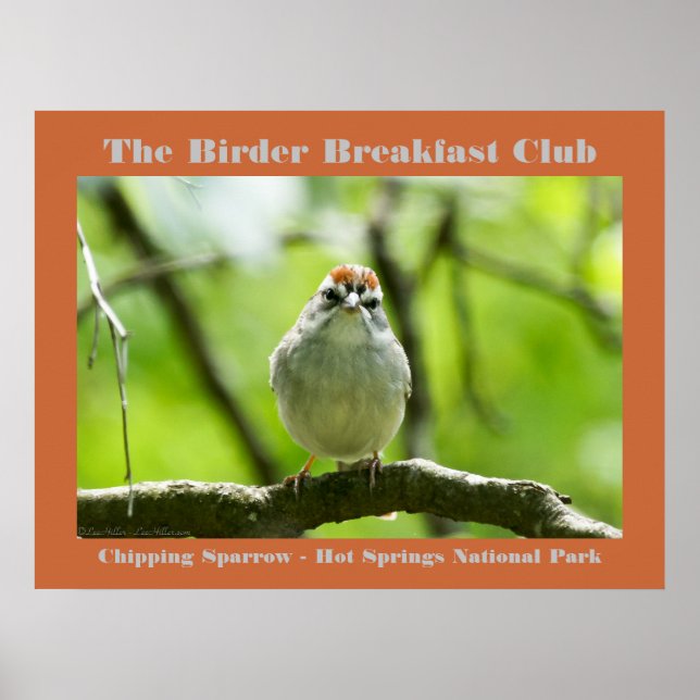 Poster Nature Photographie Chipping Sparrow Birder (Devant)