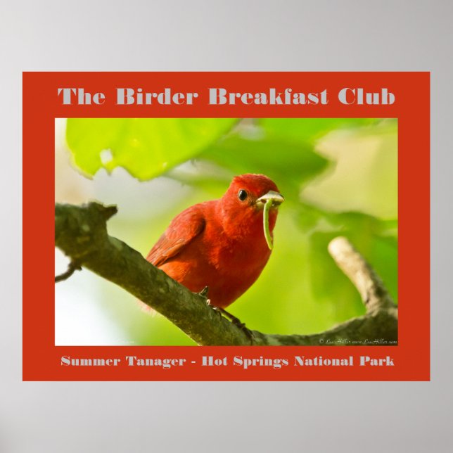 Poster Nature Photographie été Tanager Birder (Devant)