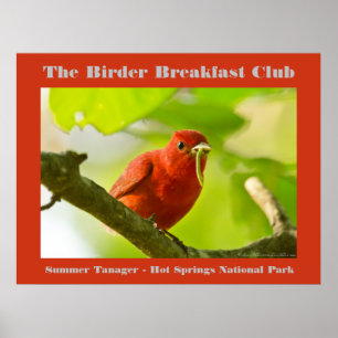 Poster Nature Photography Summer Tanager Birder